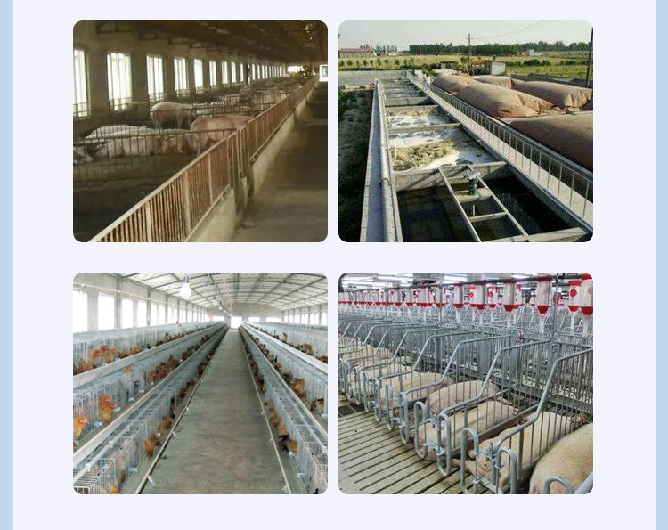 Suitable applications.png Suitable applications such as pigs farm, chicken farm and many livestock farms.png